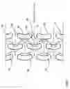 Fig. 08 - Type of fuel cell bipolar plates constructed with multiple pass flow channels that contract, expand, deflect and split reactant flows for improving reactant flow distribution, diffusion and water management