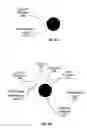 Fig. 09 - High capacity electrodes