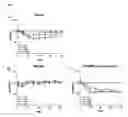 Fig. 02 - METHOD FOR CONTROLLING NAD(P)/NAD(P)H RATIO BY OXIDOREDUCTASE