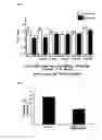 Fig. 09 - METHOD FOR CONTROLLING NAD(P)/NAD(P)H RATIO BY OXIDOREDUCTASE