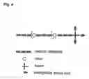 Fig. 05 - Cationic Polymer for Transporting Nucleic Acids in Cells