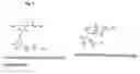 Fig. 06 - Cationic Polymer for Transporting Nucleic Acids in Cells