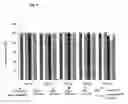 Fig. 10 - Cationic Polymer for Transporting Nucleic Acids in Cells