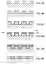 Fig. 09 - Process for selective growth of films during ECP plating