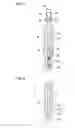 Fig. 08 - INSULATOR FOR SPARK PLUG, AND METHOD FOR MANUFACTURING SPARK PLUG