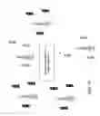 Fig. 35 - Secure, distributed hierarchical convergence network