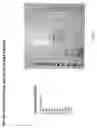 Fig. 02 - LAWSONIA PROTEIN USEFUL AS A COMPONENT IN SUBUNIT VACCINE AND METHODS OF MAKING AND USING THEREOF