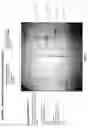 Fig. 06 - LAWSONIA PROTEIN USEFUL AS A COMPONENT IN SUBUNIT VACCINE AND METHODS OF MAKING AND USING THEREOF