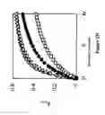 Fig. 07 - Enhancement of iron chelation therapy