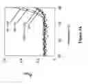 Fig. 08 - Enhancement of iron chelation therapy