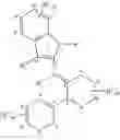 Fig. 28 - Alpha 7 nicotinic receptor selective ligands