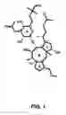 Fig. 02 - Treatment of Sexual Dysfunction with Proton Pump Agonists