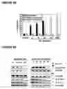 Fig. 07 - Method of treating chronic myelogenous leukemia cells