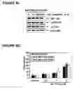 Fig. 08 - Method of treating chronic myelogenous leukemia cells