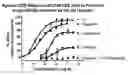 Fig. 01 - D2 Receptor Ligand-078