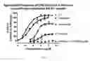 Fig. 02 - D2 Receptor Ligand-078