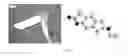Fig. 07 - D2 Receptor Ligand-078