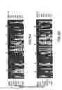Fig. 07 - Compositions and methods for modulating dhr96