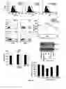 Fig. 06 - Micro rna