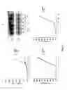 Fig. 07 - Micro rna
