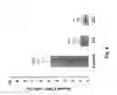 Fig. 10 - Micro rna