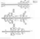 Fig. 45 - Methods for Controlling Stem Cell Differentiation