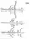 Fig. 49 - Methods for Controlling Stem Cell Differentiation