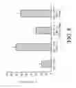 Fig. 09 - Conversion of apoptotic proteins