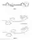 Fig. 06 - DIFFERENTIALLY PROTECTED ORTHOGONAL LANTHIONINE TECHNOLOGY