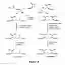 Fig. 09 - DIFFERENTIALLY PROTECTED ORTHOGONAL LANTHIONINE TECHNOLOGY
