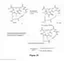 Fig. 16 - DIFFERENTIALLY PROTECTED ORTHOGONAL LANTHIONINE TECHNOLOGY