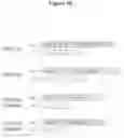 Fig. 03 - Dual variable domain immunoglobulin and uses thereof
