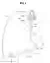 Fig. 02 - Endoscope and medical system