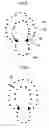 Fig. 07 - ULTRASONIC DIAGNOSTIC APPARATUS AND IMAGE PROCESSING METHOD THEREOF