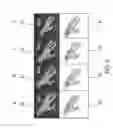 Fig. 06 - Method of assessing localized shape and temperature of the human body