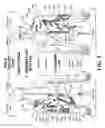Fig. 08 - SELF-CONTAINED ELECTRONIC MUSCULOSKELETAL STIMULATION APPARATUS AND METHOD OF USE