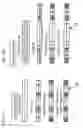 Fig. 09 - Constant velocity universal joint and quality control method for the same