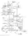 Fig. 09 - Electronic book having electronic commerce features