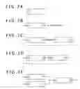 Fig. 07 - File structure analyzing apparatus, file structure analyzing method, and program