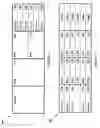 Fig. 04 - System for modulating signals over power lines to understand the power distribution tree