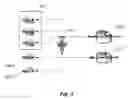 Fig. 04 - SSO IN VOLATILE SESSION OR SHARED ENVIRONMENT