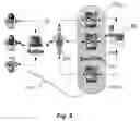Fig. 06 - SSO IN VOLATILE SESSION OR SHARED ENVIRONMENT