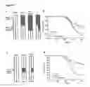 Fig. 08 - Lentiviral Vectors That Provide Improved Expression And Reduced Variegation After Transgenesis