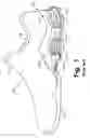 Fig. 02 - Foot-support structures with additional shear support and products containing such support structures