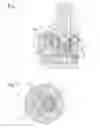 Fig. 02 - Pneumatic actuator