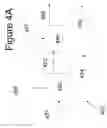 Fig. 07 - Process for generating a hydrocarbon feedstock from lignin