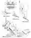 Fig. 02 - Attachment guide comb organizer