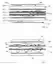 Fig. 06 - Data medium, identity document and corresponding security-protection method