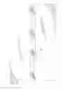 Fig. 06 - SINGLE FACED INSULATED CONCRETE FORM