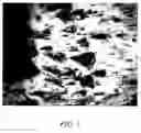 Fig. 02 - Methods, compositions, and kits for protein crystallization